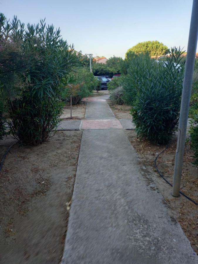 Appartement Saint Cyprien Plage Residence Les Mas De La Mer エクステリア 写真